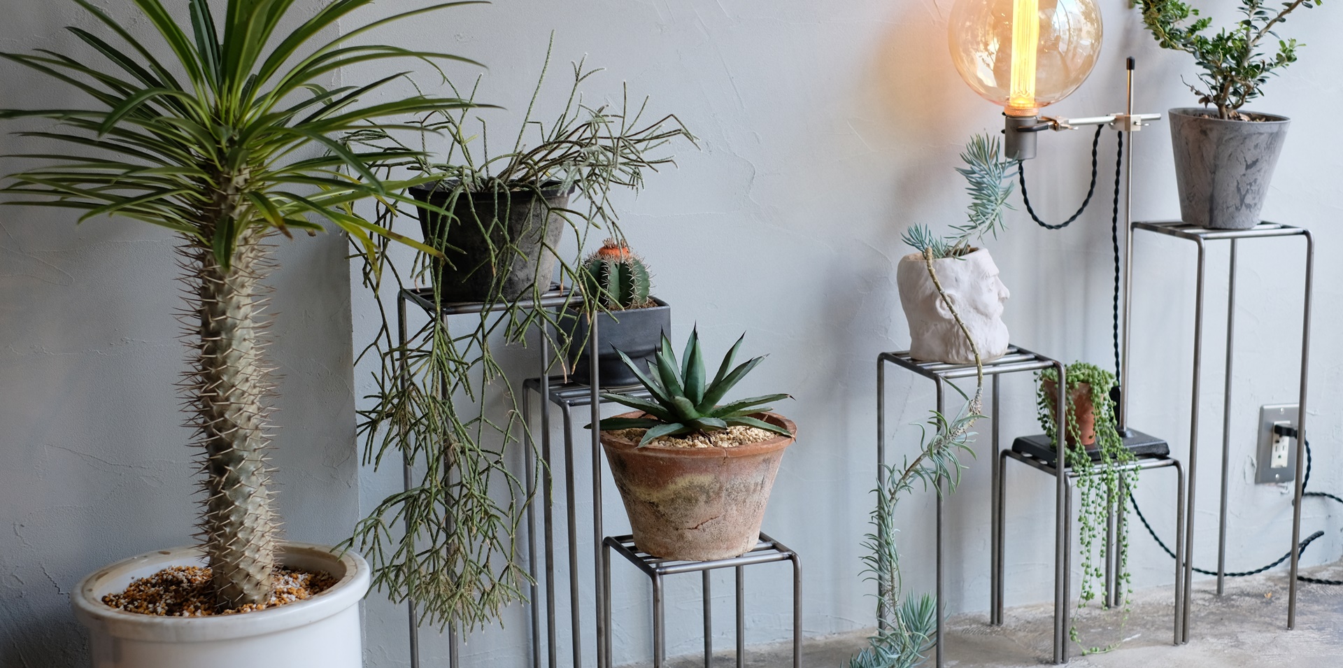 KNOP plant stands - WEST VILLAGE TOKYO KNOP plant stands - WEST VILLAGE TOKYO