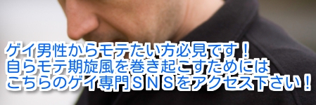 ハッテン場の体験 gaysns ページ