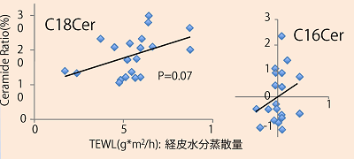 セラミドと保湿