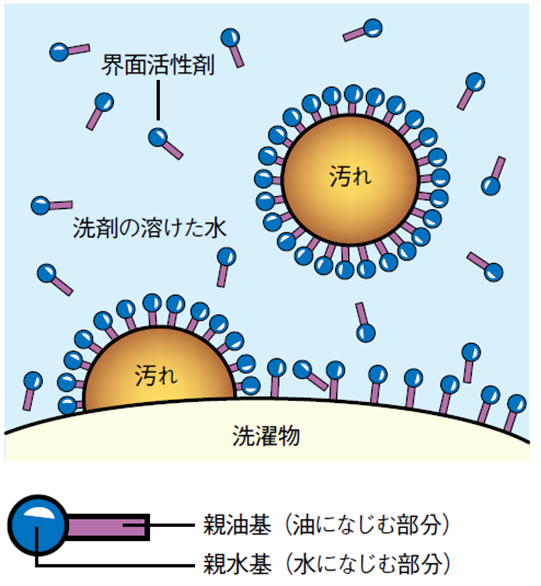 界面活性剤が肌バリアを壊す科学的根拠は？   天然ヒト型セラミド配合