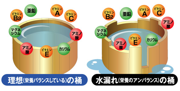 桶理論