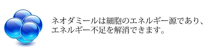 ネオダミールの即効性のわけ