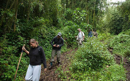 2-day-gorilla-trekking-rwanda.jpg