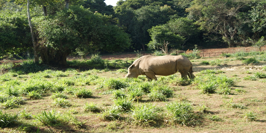 Ziwa-Rhino-Sanctuary.jpg
