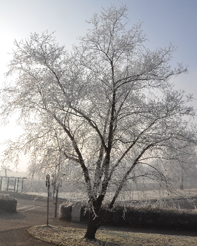 10 Winter