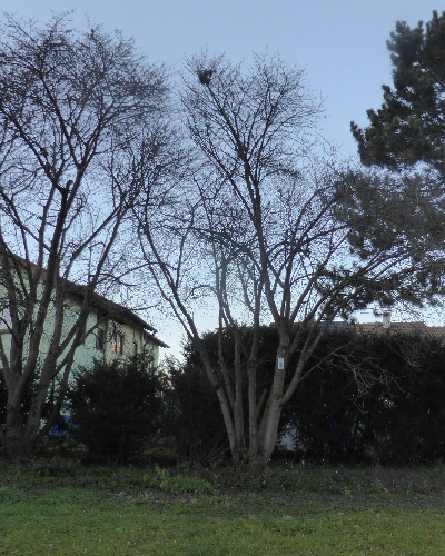 44 Winter