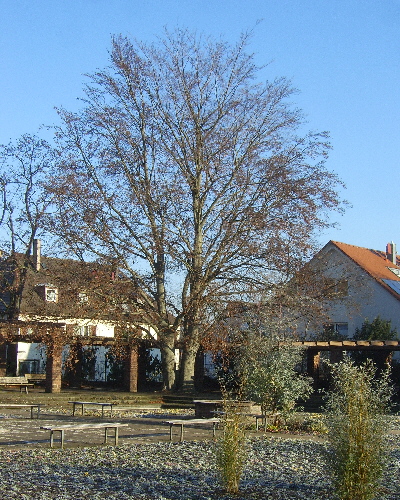18 Winter