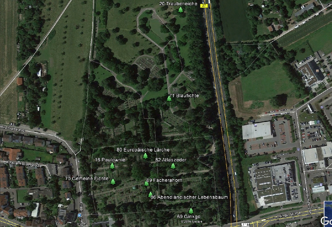 Friedhof