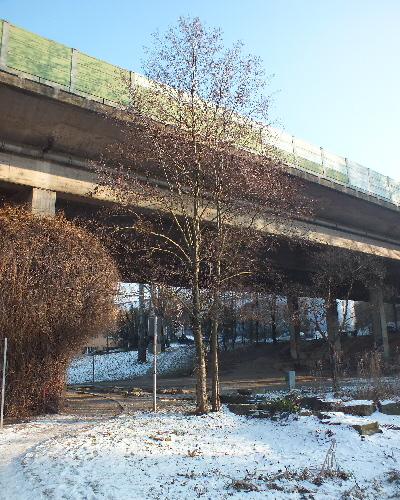 11 Winter