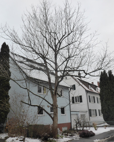 57 Winter