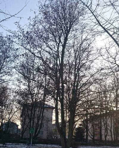 01 Winter