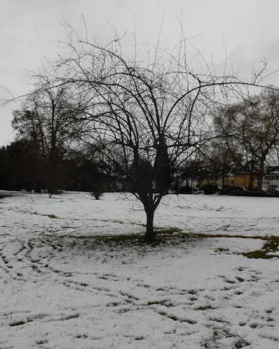 37 Winter