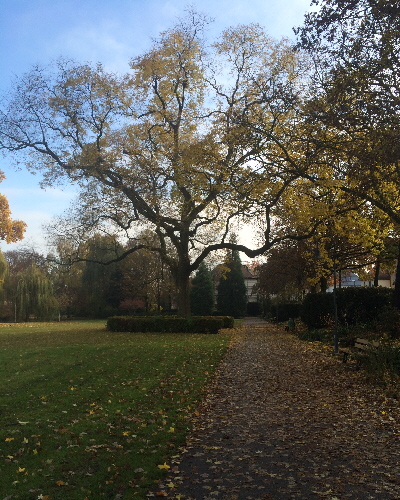 53 Frühling