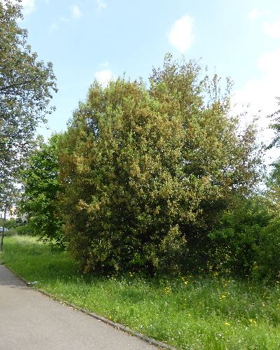 23 Sommer