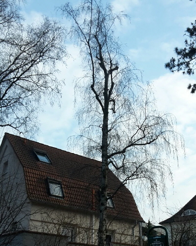 07 Winter