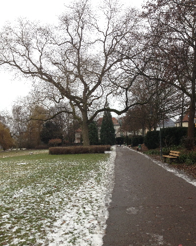 53 Winter