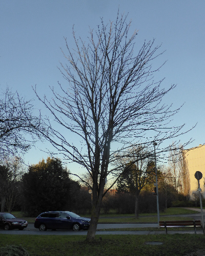 51 Winter