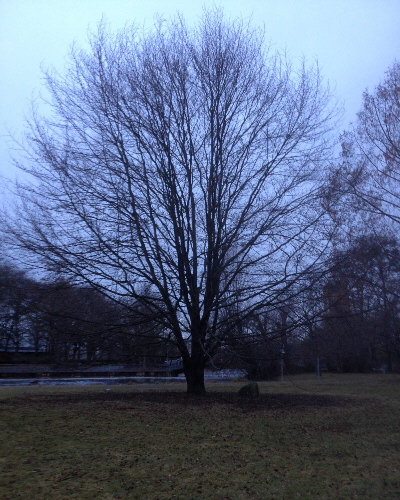 58 Winter