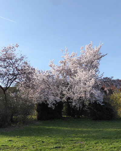 44 Frühling