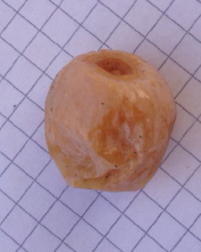 69 Frucht