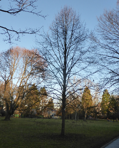 30 Winter