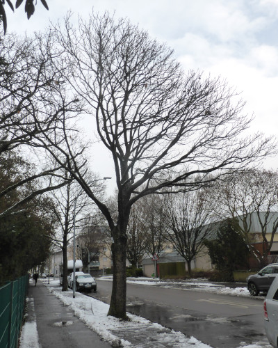 24 Winter