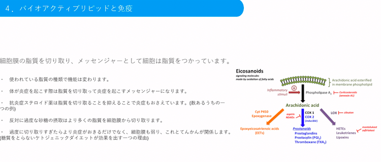 バイオメド治療の流れ2023