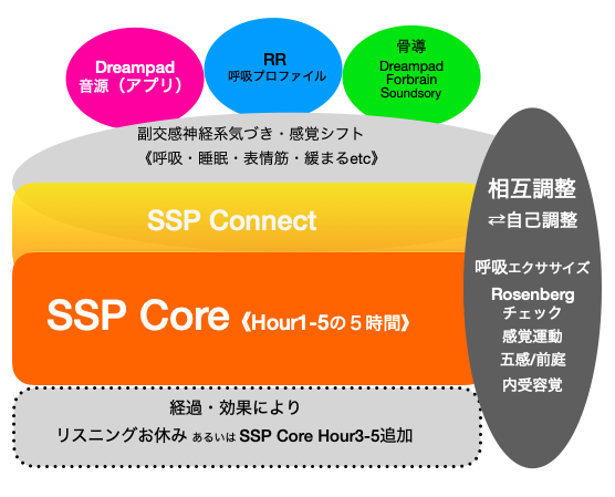 サウンドセラピー体験８週プログラム（一部変更）