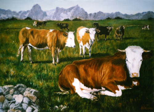 Kühe auf der Weide    1987
