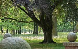 schlosspark-boule-husums Webseite!