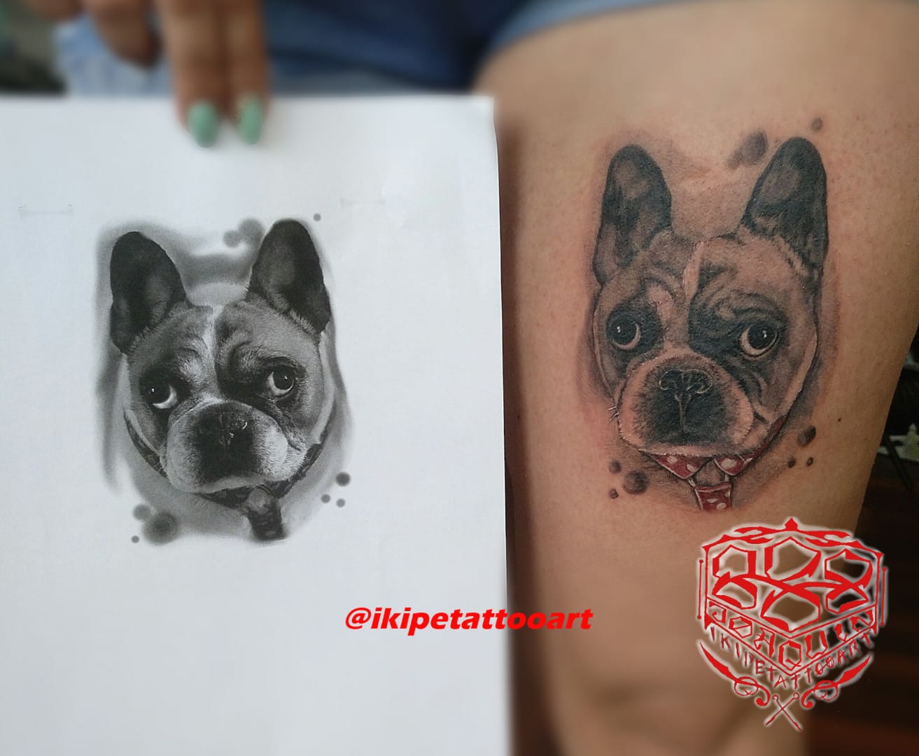 retrato solidario perrita