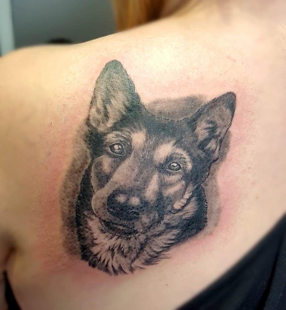retrato perro