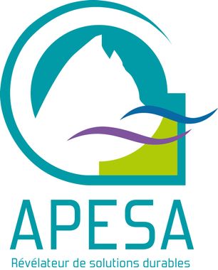 ASSOCIATION APESA