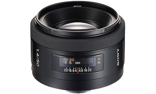 SONY Objektiv 1.4/50 / Portrait u. Macro / © 2021 Pelz Kreativ Photography & Creative Design. All rights reserved.