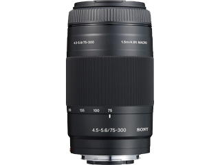 SONY Objektiv 4.5.5.6/75-300 / 1,5m/4.9ft Macro / © 2021 Pelz Kreativ Photography & Creative Design. All rights reserved.