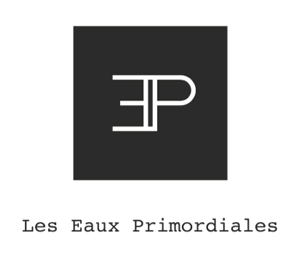 Accompagnement et conseil de son chef d'entreprise dans le cadre d'une levée de fonds