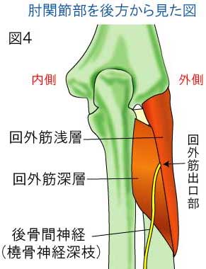 原因と症状、治療法