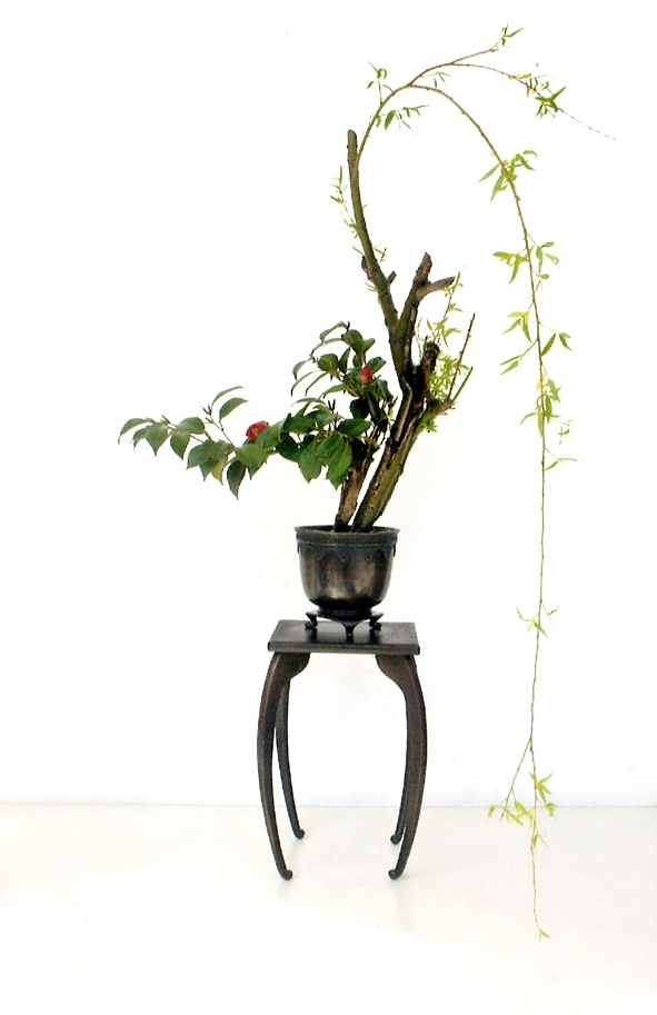 伝統の生花 - 華道 「遠州流」 美濃 ホームページ 伝統の生花 - 華道 「遠州流」 美濃 ホームページ