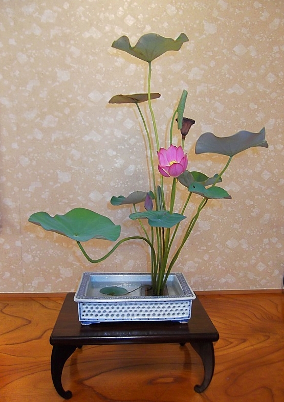 伝統の生花 - 華道 「遠州流」 美濃 ホームページ