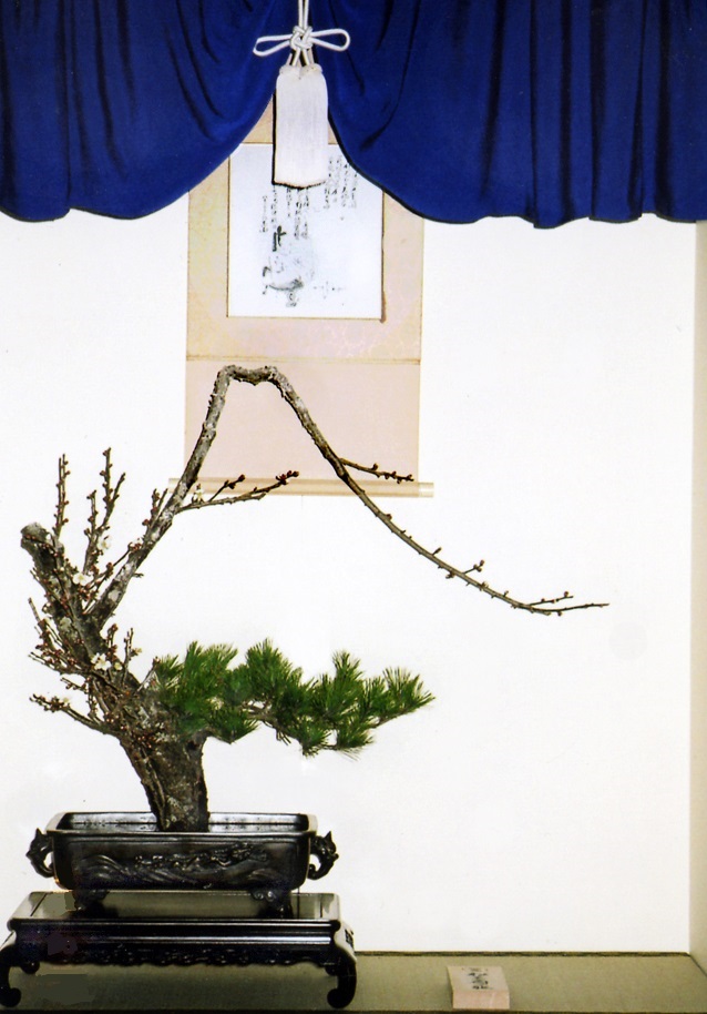 伝統の生花 - 華道 「遠州流」 美濃 ホームページ 伝統の生花 - 華道 「遠州流」 美濃 ホームページ