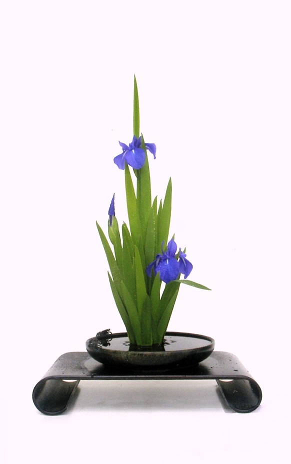 伝統の生花 - 華道 「遠州流」 美濃 ホームページ 伝統の生花 - 華道 「遠州流」 美濃 ホームページ