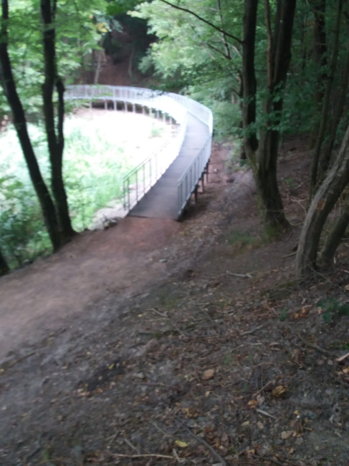 Neuer Steg - Rundweg nun wieder barrierefrei!