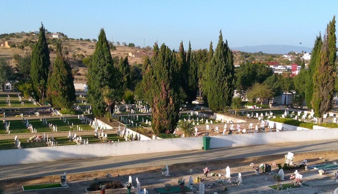 Friedhof