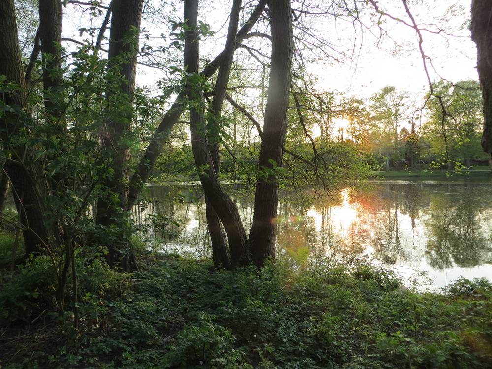 Schöner Park gleich hinter dem CP