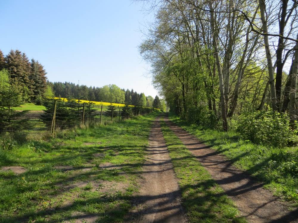Radweg 