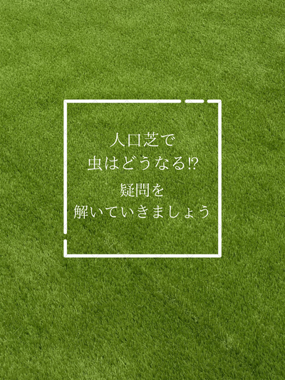 人口芝で虫は増えるの？減るの？