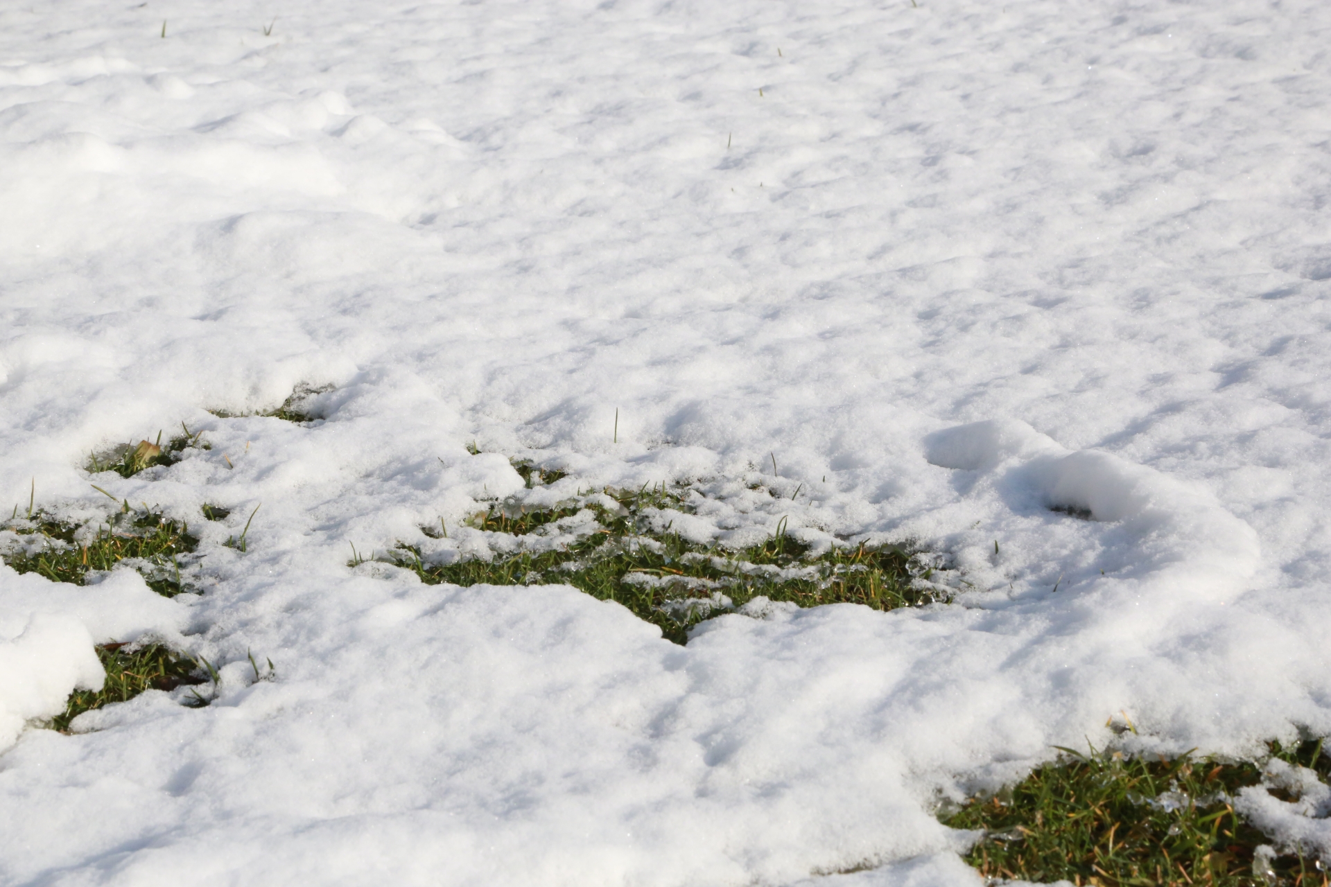 雪と人工芝の関係性