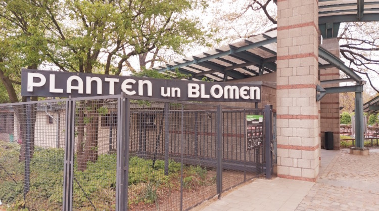 Planten un Blomen