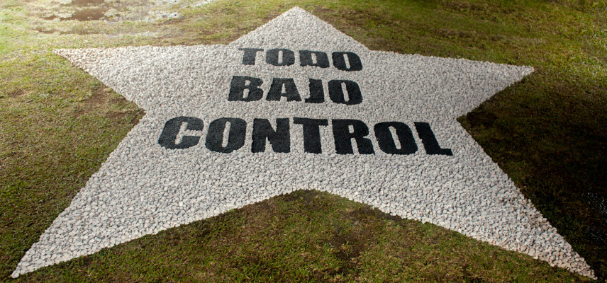 All under Control, 2011. Beans and stones outdoor. 3m diameter