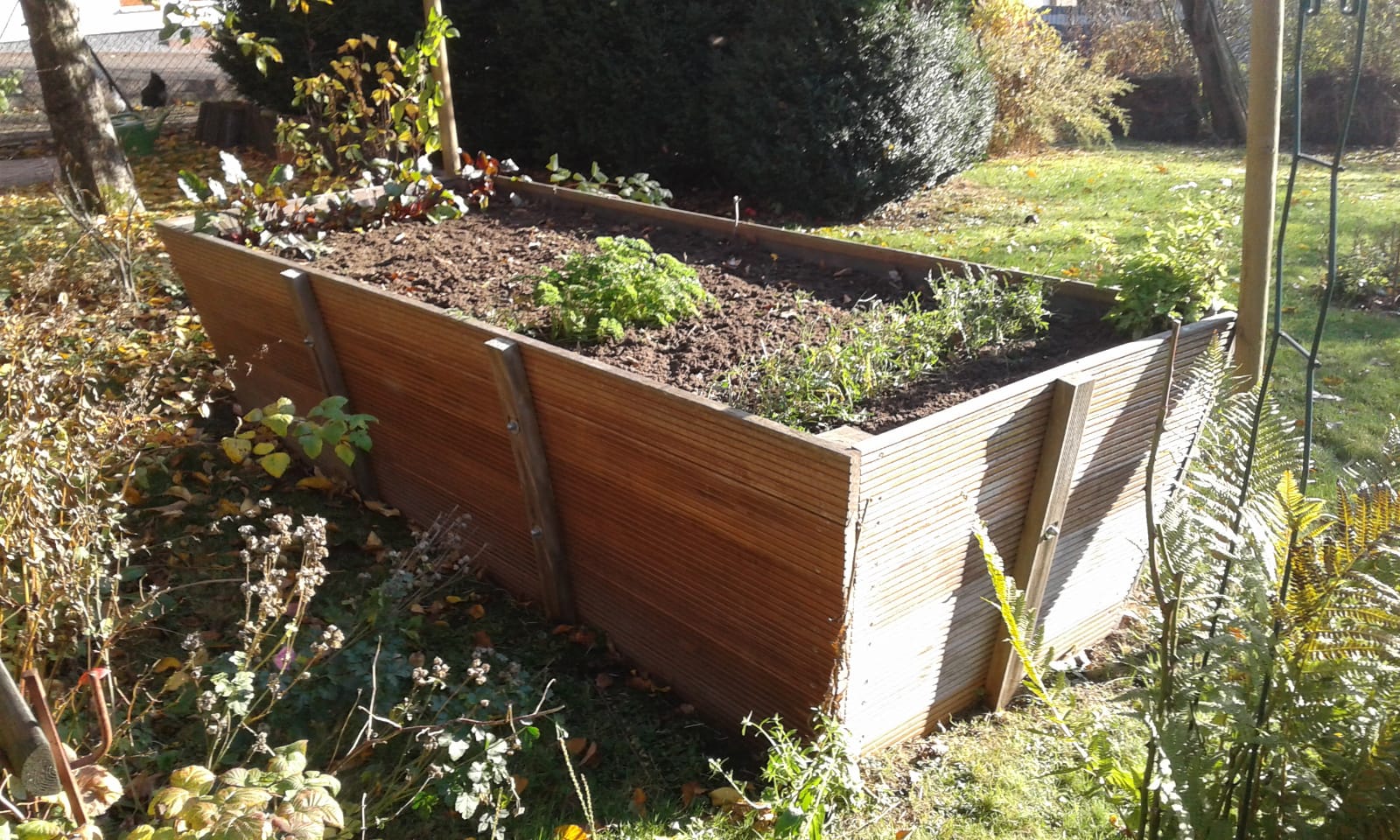 Ein sonniger Moment: das Hochbeet Ende 2018 im Korfmacher Garten.